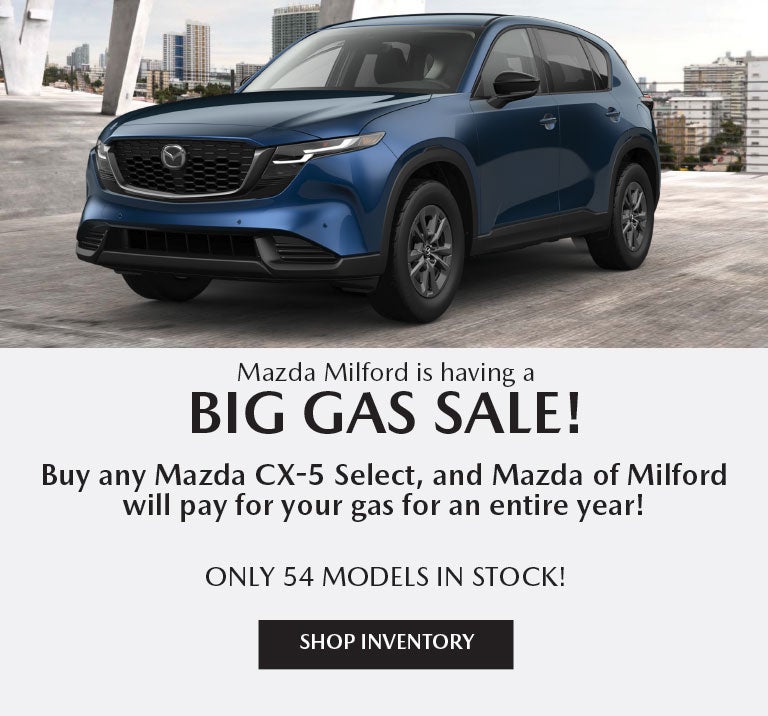 Big Gas Sale